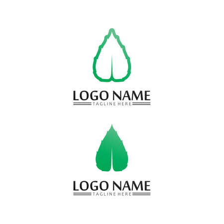 Tree leaf vector and green   design friendly conceptのイラスト素材