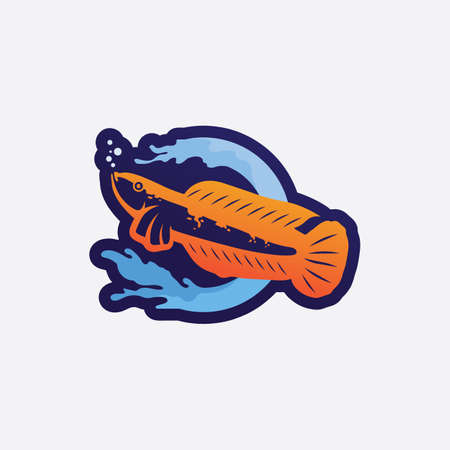 Channa Snakehead fish, Predator Fish, animal underwater design, logo, and illustrationのイラスト素材
