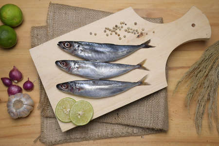 fresh fish on the wooden plate and the attributeの写真素材