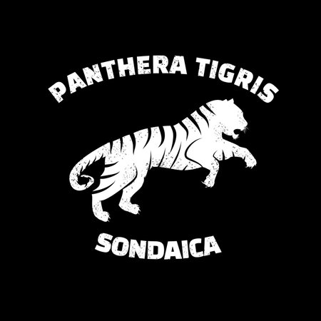 Panthera TIGERIA TIGERIA LOGOのイラスト素材