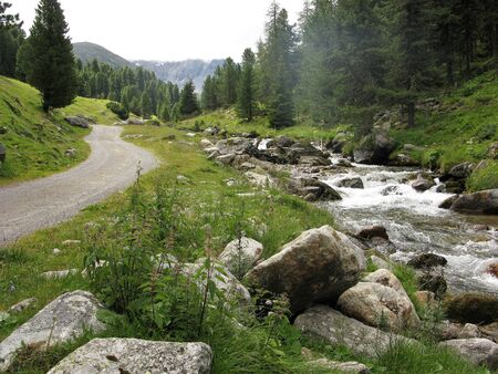 Track beside a mountain stream above S-charl, Lower Engadine, Switzerlandの写真素材
