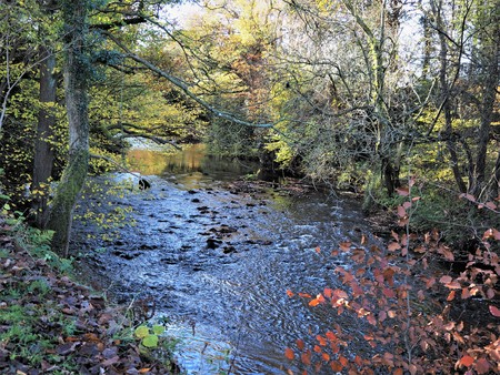 River Derwent and surrounding trees in autumn at Gibside near Gateshead, Englandの写真素材