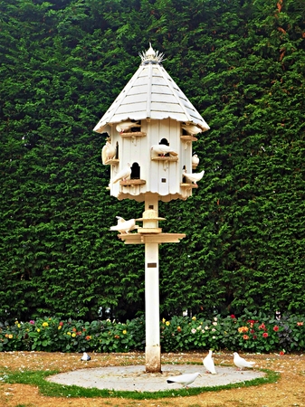 White dovecote with white doves against a green hedge in a gardenの写真素材