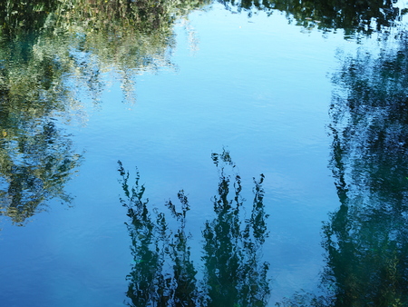 Trees and a blue sky reflected on the surface of a garden pondの写真素材