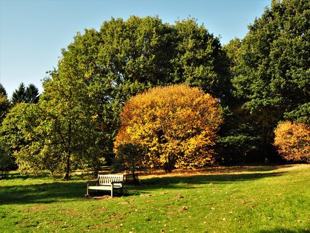Early autumn foliage in the Yorkshire Arboretum, Englandの写真素材