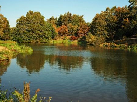 Lake in the Yorkshire Arboretum, England, surrounded by trees with autumn foliageの写真素材