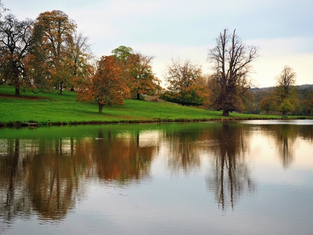 Autumn trees reflected in the lake at Ripley, Yorkshire, Englandの写真素材