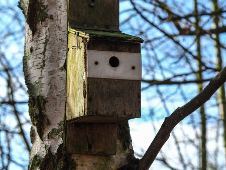 Wooden bird nesting box fixed to the trunk of an old tree with rough bark