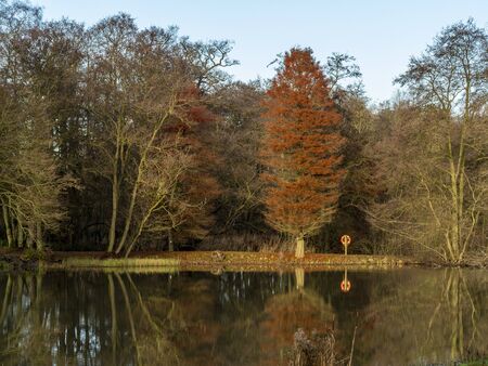 Winter trees reflected in the calm water of a lake in the Yorkshire Arboretum, North Yorkshire, Englandの写真素材