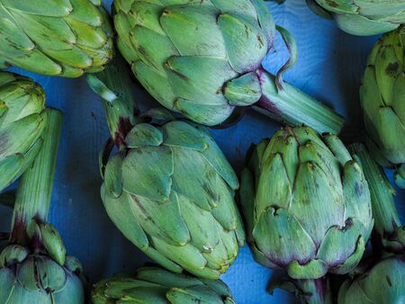 Display of green globe artichokes arranged on a blue backgroundの写真素材