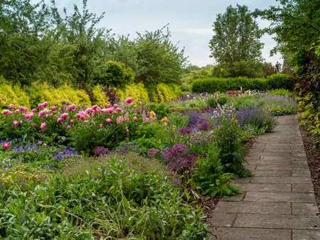 Colourful summer flower borders and a paving stone path in a garden in North Yorkshire, Englandの写真素材