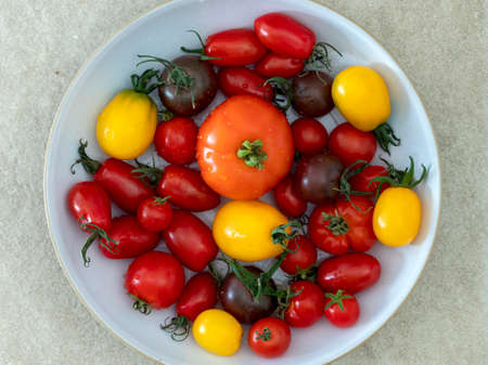 Mixed homegrown tomato varieties in a bowlの写真素材