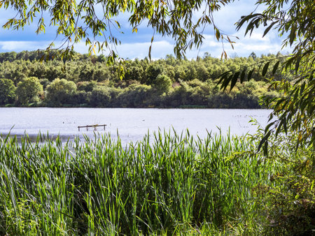 Lake at Fairburn Ings, West Yorkshire, Englandの写真素材