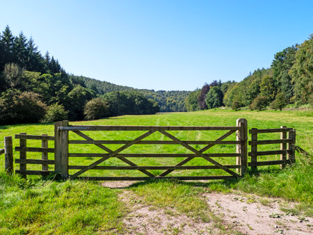 Wooden farm gate into a green field surrounded by treesの写真素材