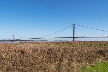 View of the Humber Bridge seen across a reedbed, Englandの写真素材