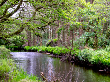 River Dawros in County Galway, Irelandの写真素材