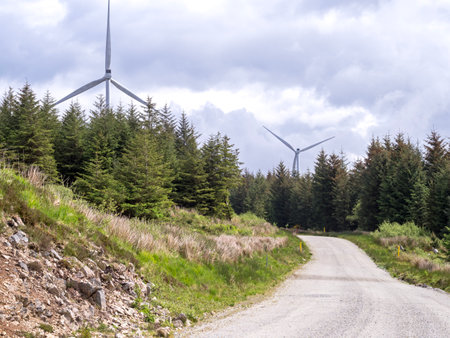 Forest trail in the Galway Wind Park, County Galway, Irelandの写真素材