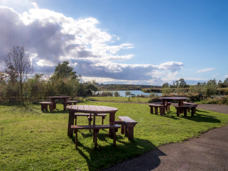 Picnic tables on grass beside a lakeの写真素材