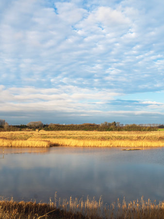 View over a lake with a mottled blue and white skyの写真素材