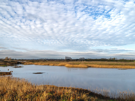 View over a lake with a mottled blue and white skyの写真素材