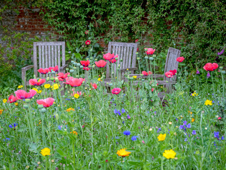 Three wooden seats in a flower gardenの写真素材