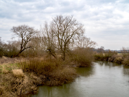 River Derwent at Wheldrake Ings in North Yorkshire Englandの写真素材