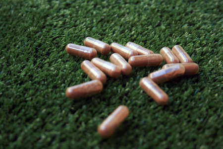 Herbal supplement in capsules on a green background.の写真素材