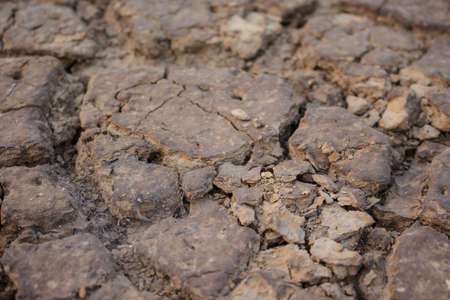 arid ground fissure no water warming