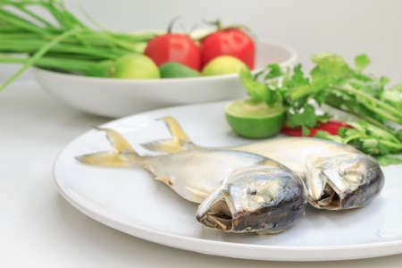 mackerel fish on white background