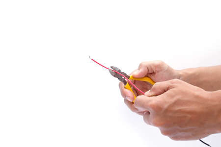 nippers on white backgroundの写真素材