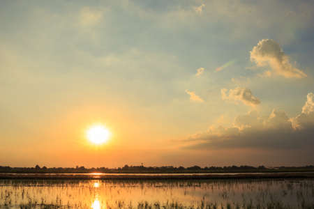 sunset sky clouds horizon backgroundの写真素材