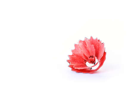 shave colored pencils drawing multicolored on white backgroundの写真素材