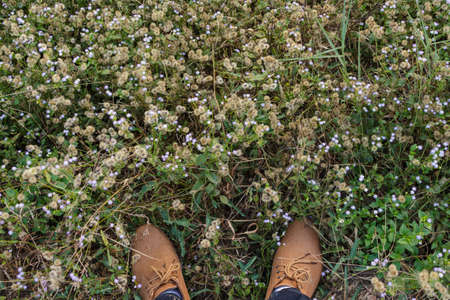 top foot grass unique perspective