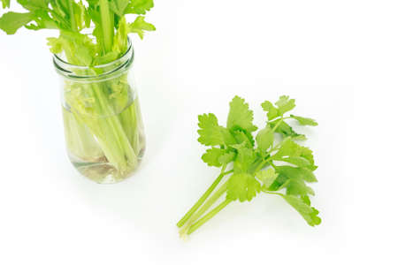 celery vegetable organic food healthy natureの写真素材