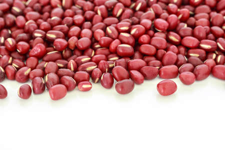 red bean seed vegetable nature frame border on white backgroundの写真素材