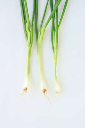 green onion vegetable nature food on white backgroundの写真素材