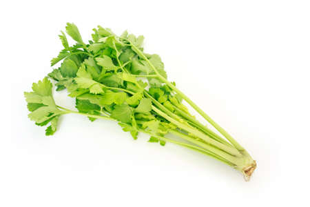 celery vegetable organic food healthy natureの写真素材