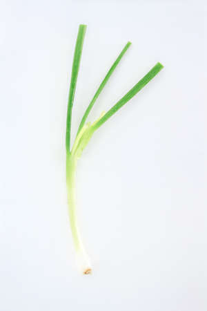 green onion vegetable nature food on white backgroundの写真素材