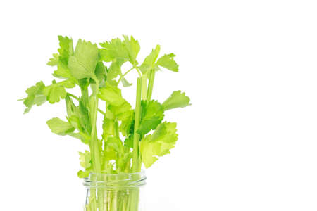 celery vegetable organic food healthy nature