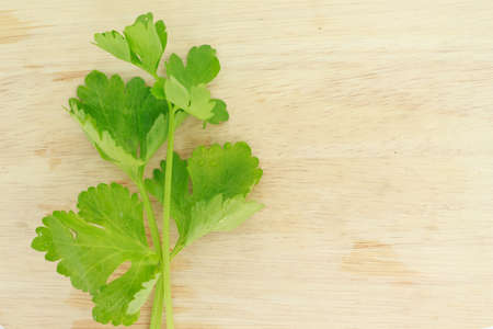 celery vegetable organic food healthy nature on wood backgroundの写真素材