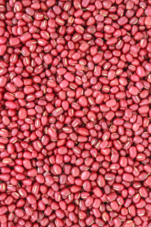 red bean seed vegetable nature top view backgroundの写真素材