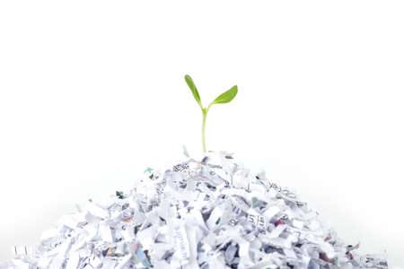 seed sprout growth recycle protect environment nature on white background