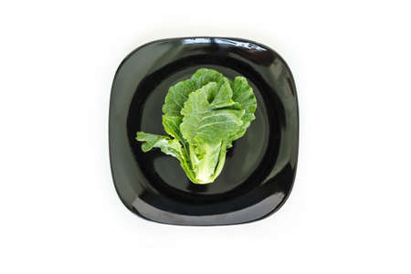 chinese kale on plate top view on white backgroundの写真素材
