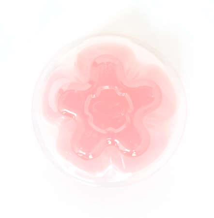 pink gelatin dessert on white backgroundの写真素材