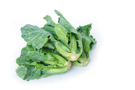 chinese kale on white backgroundの写真素材