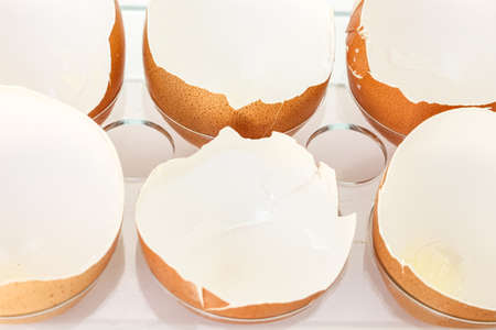 egg shell broken crack food on white backgroundの写真素材