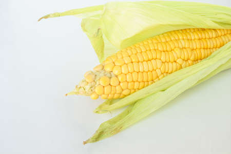 corn on the cob, husk organic food nature backgroundの写真素材