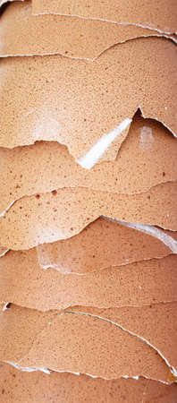 egg shell broken crack food background