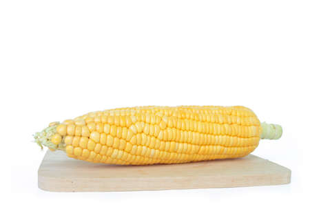corn organic food nature on white backgroundの写真素材