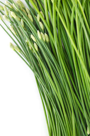 chinese chive flowerring onions stalk vegetable food nature backgroundの写真素材
